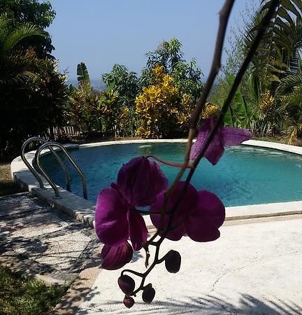 West Bali Villas-Umasari Resort Negara  Zewnętrze zdjęcie