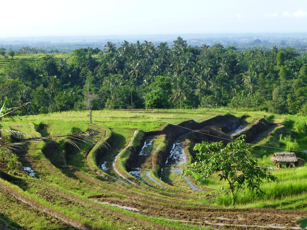 West Bali Villas-Umasari Resort Negara  Pokój zdjęcie
