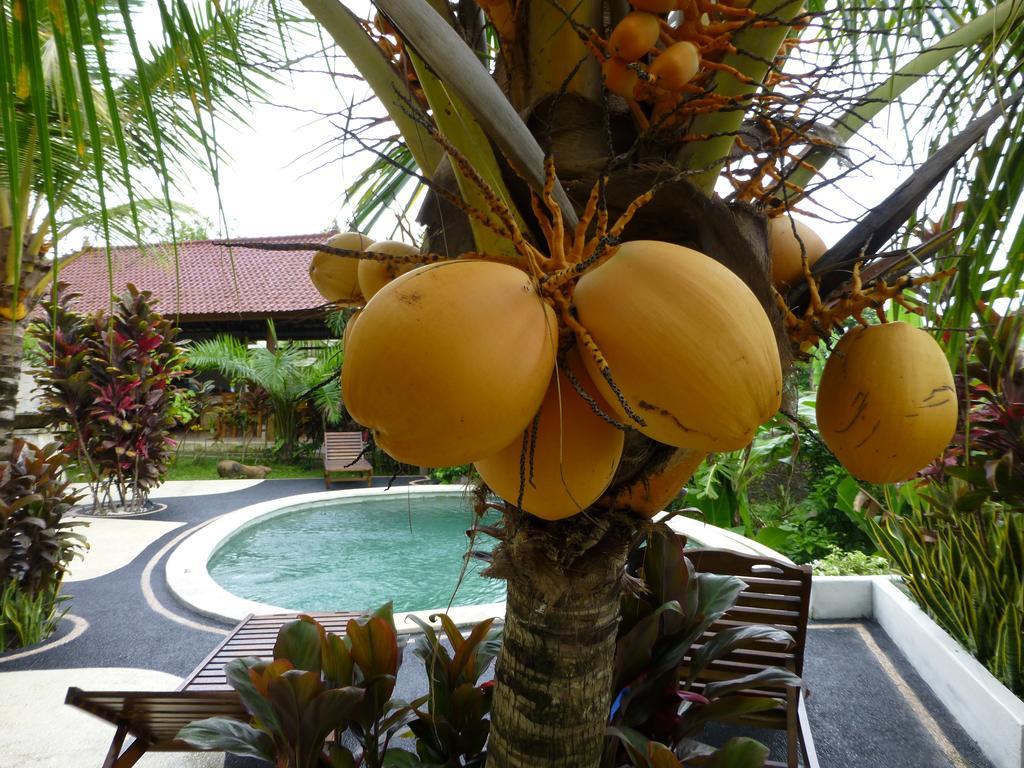 West Bali Villas-Umasari Resort Negara  Pokój zdjęcie