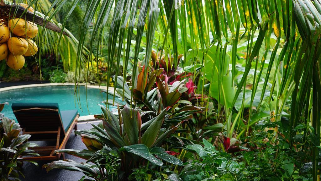 West Bali Villas-Umasari Resort Negara  Zewnętrze zdjęcie