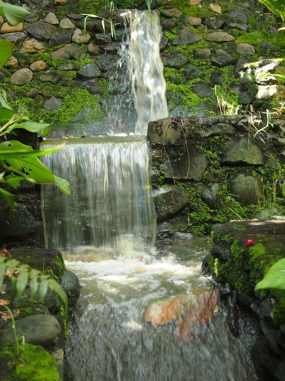 West Bali Villas-Umasari Resort Negara  Zewnętrze zdjęcie