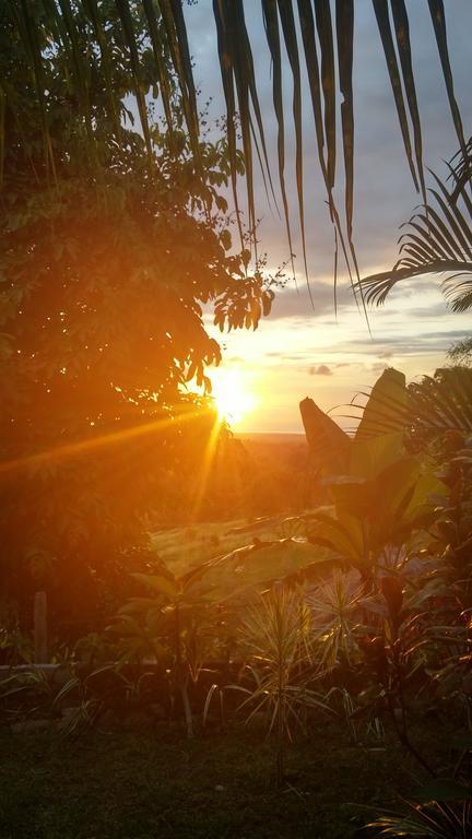 West Bali Villas-Umasari Resort Negara  Zewnętrze zdjęcie