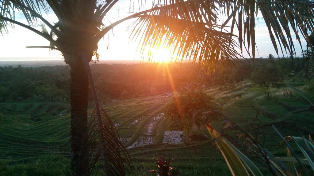 West Bali Villas-Umasari Resort Negara  Zewnętrze zdjęcie