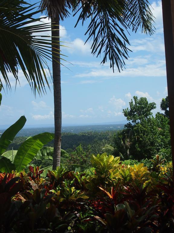 West Bali Villas-Umasari Resort Negara  Zewnętrze zdjęcie
