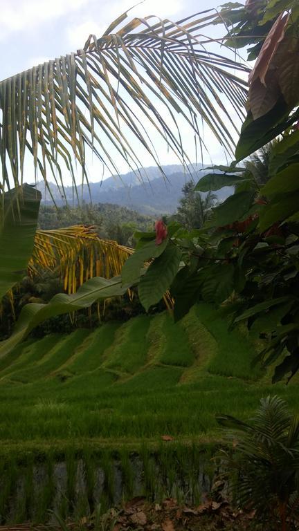West Bali Villas-Umasari Resort Negara  Zewnętrze zdjęcie