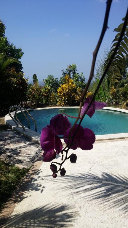 West Bali Villas-Umasari Resort Negara  Zewnętrze zdjęcie
